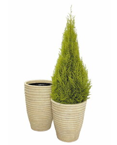 OXt@Co[Jo[@i~c{67IV@AC{[͕ʓr+10,000~ǉ