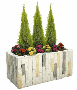 OXt@Co[Jo[@Xg[v^[82GR@O[͕ʓr+10,000~ǉ