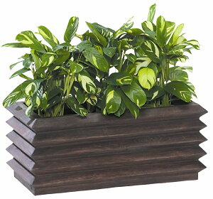 OXt@Co[Jo[@A[Nv^[95DBR@_[NuE͕ʓr+10,000~ǉ