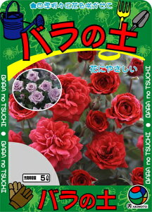 H{@o̓y@5L