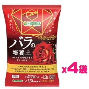 iP[X̔jnC|lbNX o̔|{y40Li10Lx4܁j s`brilliantgarden op|{y`