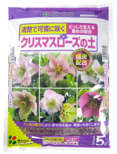 Ԃ@NX}X[Y̓y5L`JVEzŃp[Abv