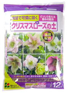 Ԃ@NX}X[Y̓y12L`JVEzŃp[Abv