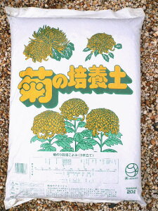 H{ e̔|{y20L `{ih e̓y