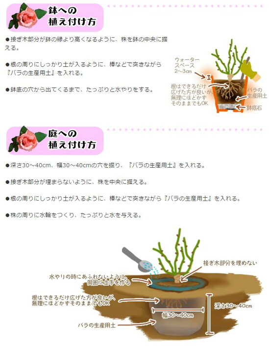 バラの生産用土 タイプ バラの生産用土 タイプ