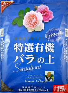 Ԃ@IL@o̓y@Sensations15L