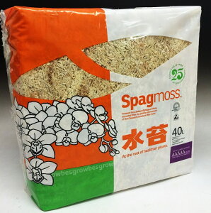 ۃj[W[hYōnCO[h 5A Spagmoss500g AAAAA 20`50cmeʖ40LpbP[WقȂꍇ