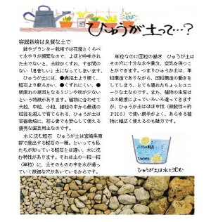 楽天市場 単用土 日向土 ひゅうが砂 ガーデニングどっとコム 楽天市場 単用土 日向土 ひゅうが砂 ガーデニングどっとコム