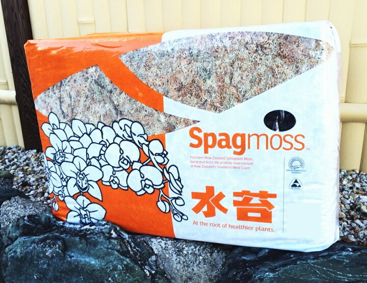 楽天市場】水苔ニュージーランド産ハイグレード 2A 約1kg（復元容量約 