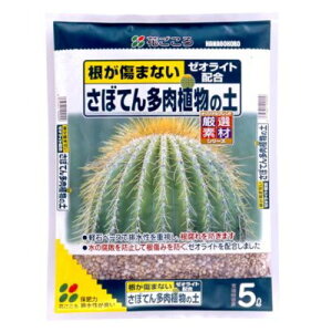 ‰Ô‚²‚±‚ë@‚³‚Ú‚Ä‚ñ‘½“÷A•¨‚Ì“y@5L `ƒVƒƒƒRƒo ƒTƒ{ƒeƒ“ ƒNƒWƒƒƒN ŒŽ‰º”ül‚É‚à