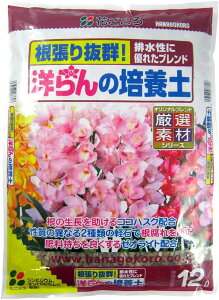 iP[X̔jԂ@ m̔|{y 48Li12Lx4܁j `m̓y mpy VsW[