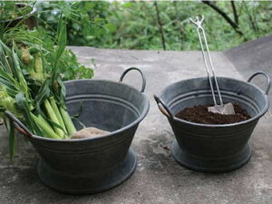 uLnhoPc STCY@BAGP1004S NAPVC|bgt `摜@toPc v^[