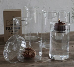 GLASS BULB BASE LONG@pt[x[X@O KEGY4070 `KXԕr k͔||bg