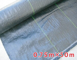 hV[gi悯j@0.75m×50m@  V[g@V[g h Gh~V[g Gh~ sv   h  ڂ[
