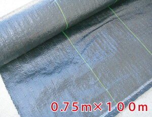 hV[gi悯j@0.75m×100m@  V[g@V[g h Gh~V[g Gh~ sv   h  ڂ[