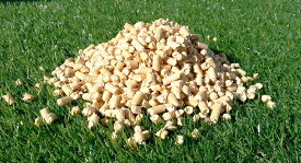 【送料無料】木質ペレット 22kg　猫砂 ホワイトペレットお買い得　20kgより2kg多い22kgで販売中