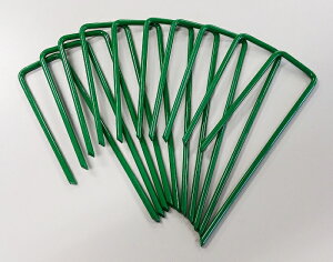 lHłs O[ 300{i10P×30ܓj  V[g