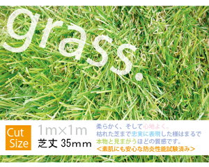 �y���������z�l�H�� �����x ���A�� MHG-101�l�H�Ń��[�� 1×1m�k35mm��l �݌Ɍ���