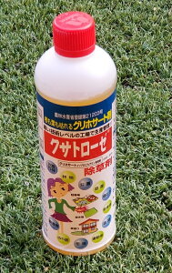 _nŎg鏜܁@NTg[[500ml OzT[g41@߂Ďg j[t@