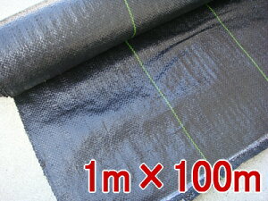 yzhV[gi悯j@1m×100m@2{Zbg  V[g@V[g h Gh~V[g Gh~ sv   h  ڂ[