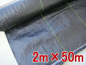 防草シート押さえ釘(黒丸付)20組プレゼント中　【送料無料】 防草シート（草よけ） 2m×50m 除草 除草シート