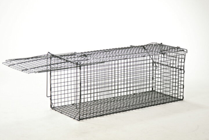 楽天市場】アニマルキャッチャー Mサイズ ジャンボ捕獲器 : ガーデン 