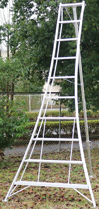 楽天市場】アルインコ KWX300 10尺 300cm 園芸用アルミ三脚 3.0m 3m 