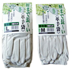 柚子収穫用革手袋　M　L　肘まで長い　バラなどの手入れにも　ゆず　薔薇　手入れ