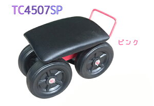 yz|ƎԃNbVt TC4507SP