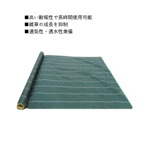 OhoANX-7 (3×50m)GBC-7 hV[g 悯 XO[  V[g@V[g h Gh~V[g Gh~ sv