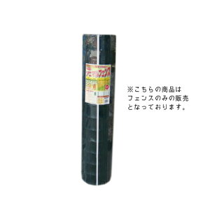 Aj}tFX@1m×20mitFX̂݁jX`[tFX