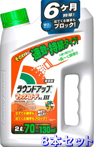 yz8{Zbg V[^Cv EhAbv}bNX[hALIII 2L Yw 