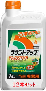 EhAbv}bNX[h 1L 12{Zbg