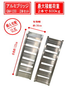 A~ubW GM-1230 120cm 30cm@]ԃoCN_@̉^Ɂ@A~_[ @A~ubW 6ځ@ω׏dF0.5t@2{Zbg@_[[