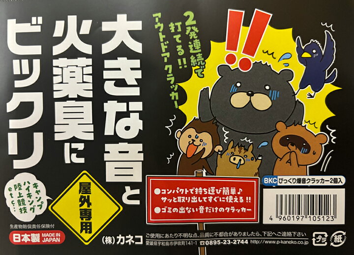 Audio Cafe】Vol.5 YAMAHA A-S801 の音にびっくり！この値段で 