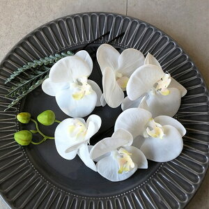 ߔNlC̗ ̃wbhs[X EGfBO ԏ a l  yӒItzCg10pz