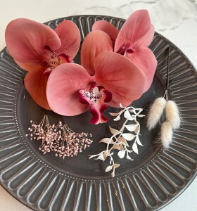 Ӓ̔ a l p[eB[̃wAZbgɐԌnӒyӒs[`o[KfBz