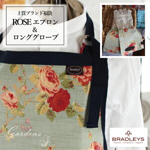 BRADLEYS@ROSEGv@O[uZbg@PAuhZbg