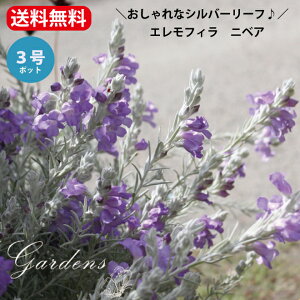 Vo[[t c@u GtB@jxA v@c 3`3.5 3`3.5 ؁@񂹐A@ANZg@J[[t yz GtBEjxA  1 GtB jxA z