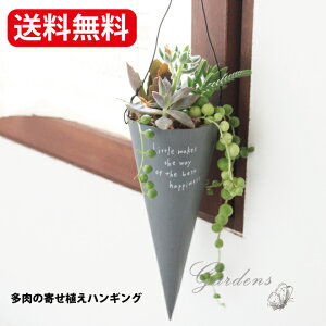 A 񂹐A A Zbg gnMOuL R[@O[ ^ zCg ̊񂹐A R[uL@C[t@A c  Zbg  ChAO[