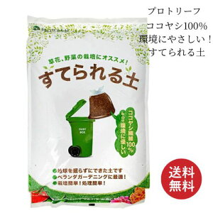 yʁI邢Iu Ăy 5L v 񂹐A ƒ؉ vg[t RS~ |{y A̓y ؂̓y AR RRVs[g nXN`bv K[fjO ^ъȒP y ϗt