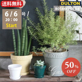 ＼6/10限定！抽選で100％ポイントバック／「 ダルトン　BOTANY　POT　3-6 」 3号鉢　5号鉢　6号鉢　目安　BOTANY POT 3　5　6 BEIGE テラコッタ 陶器 底穴あり ポット　 鉢カバー 多肉植物 ベージュ　グリーン　グレイ　ホワイト　【送料無料】