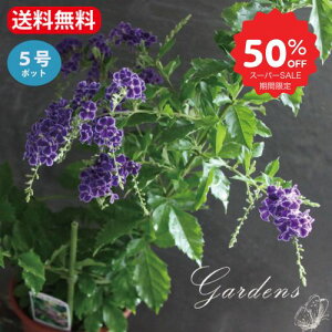 ySS聚Gg[őSi{P5{MAX15%N[|zf^@^JdJ@ˁ@A@c@2.5-5@2.5-5@1POT`2POT@Ϗ@ԕc ΁@؁yz