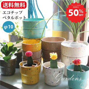 ySS聚Gg[őSi{P5{MAX15%N[|zGR`bv y^|bg 10 CG[ zCg XJCu[ x[W a10cm Aؔ   A ͔| n v[g Mtg