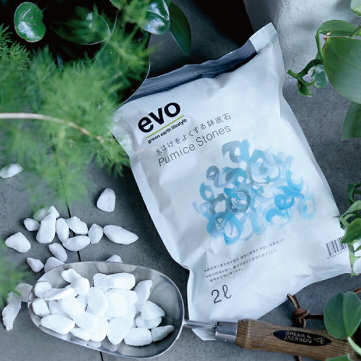 楽天市場 鉢底石 Evo 水はけをよくする鉢底石 人工軽石 水はけ 初心者 繰り返し使える 根腐れ予防 送料無料 植物 インドアグリーン 観葉植物 6寸 6号 ガーデニング 植え替え 植栽 Gardens ガーデンズ