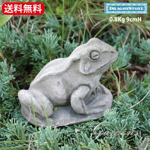yԌP5{MAX10OFFN[|zHampshire Garden Craft hSXg[ JG SM34 FROG ^  K[fjO I[ig CMX nvV[ CObV K[f IuWF u 
