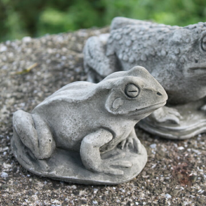 楽天市場】Hampshire Garden Craft ドラゴンストーン カエル SM34 FROG 