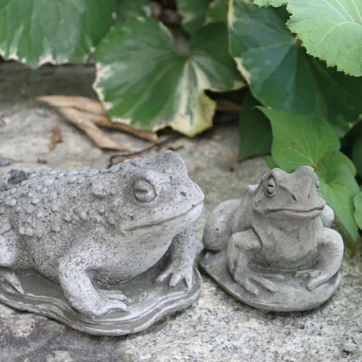 楽天市場】Hampshire Garden Craft ドラゴンストーン カエル SM34 FROG 