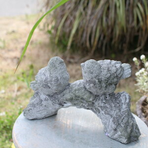 ySS聚Gg[őSi{P5{MAX15%N[|zRxg COVENT u XgcCo[h v K[fjO I[ig  Ƃ g CMX CObV K[f IuWF u 