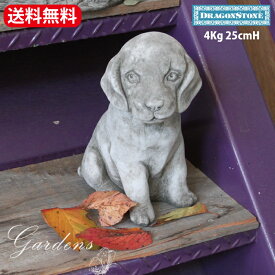 Hampshire Garden Craft ガーデニング オーナメント SMALL SITTING PUPPY お座り子犬 犬 いぬ イヌ DG15 オーナメント イギリス ハンプシャー イングリッシュ ガーデン オブジェ 置物 ドラゴンストーン 定番 デコレーション ワンダーデコール 【送料無料】